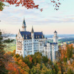 huge castle surrounded by autumn trees