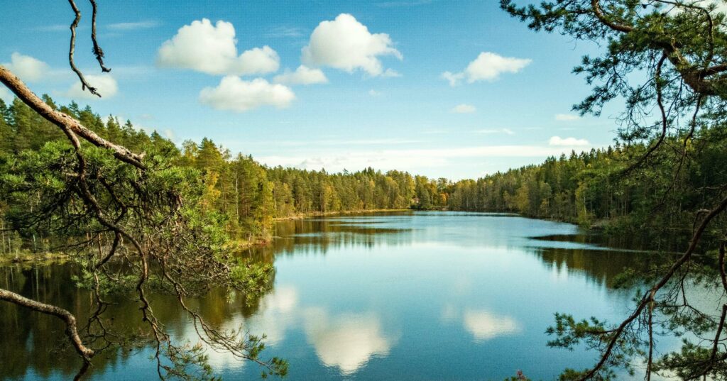 A serene lake surrounded by lush greenery and trees under a sky dotted with fluffy clouds