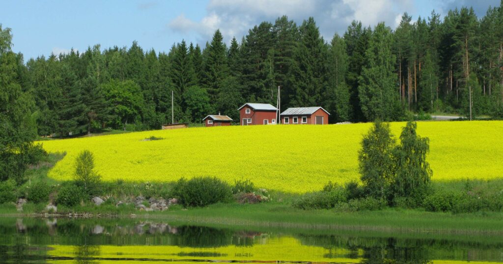 red houses amid bright green grass field with thick trees in the background