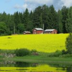 red houses amid bright green grass field with thick trees in the background