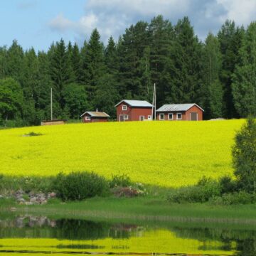 red houses amid bright green grass field with thick trees in the background