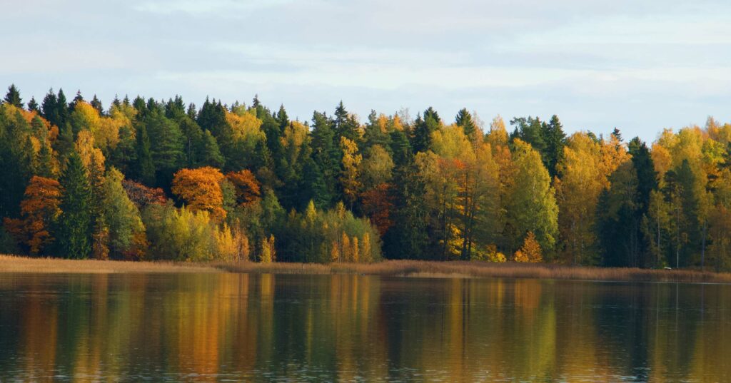 A serene lake reflecting the colorful autumn trees on its calm surface