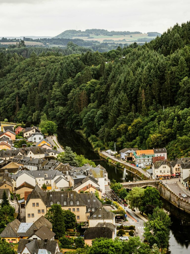 An aerial view of a small town nestled among green trees