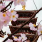 pagoda seen through the branches of cherry blossom