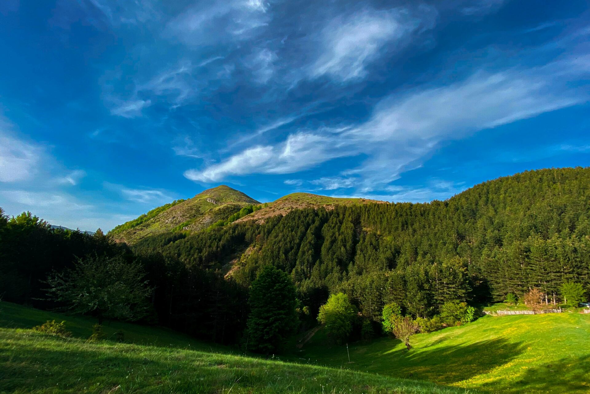 a grassy field with a mountain in the background