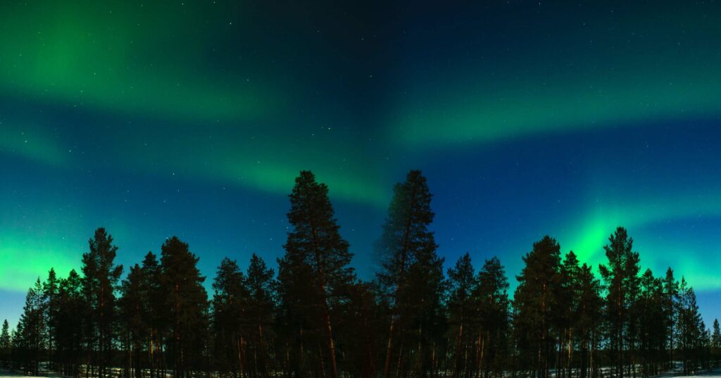 mesmerizing view of the Northern Lights displaying vibrant green hues across the night sky, silhouetting a serene forest landscape