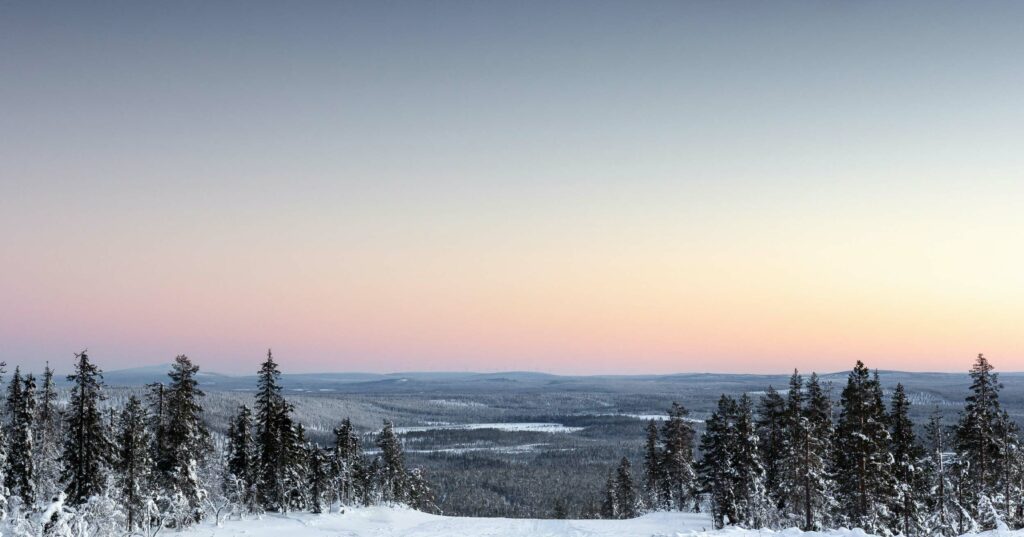 Serene winter landscape at dusk: snow-covered trees against a gradient sky