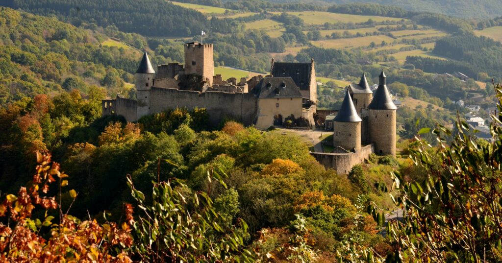 A stone castle with towers and turrets sits on a hilltop, surrounded by a dense green forest